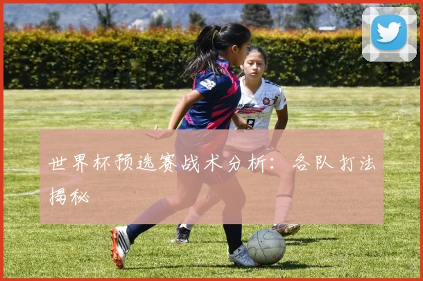 世界杯预选赛战术分析:各队打法揭秘