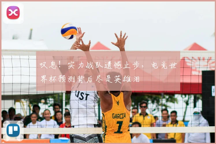 叹息!实力战队遗憾止步,电竞世界杯预测背后尽是英雄泪
