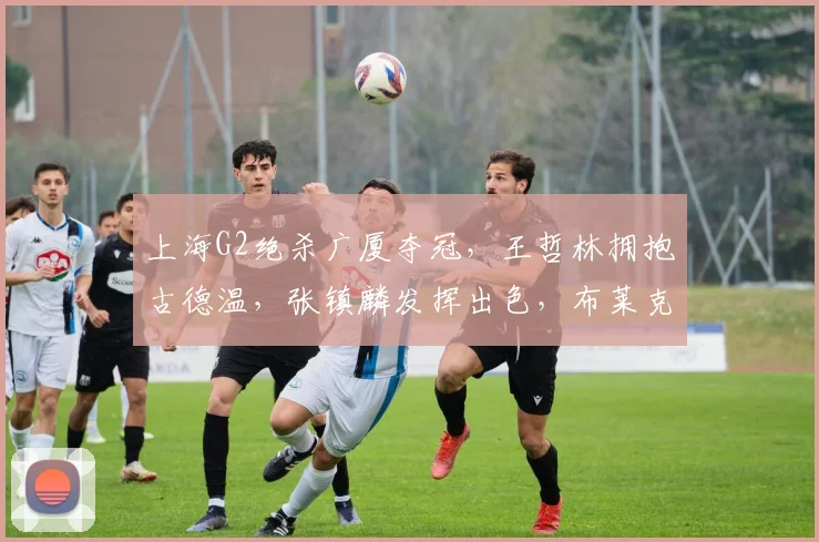 上海G2绝杀广厦夺冠，王哲林拥抱古德温，张镇麟发挥出色，布莱克尼低迷