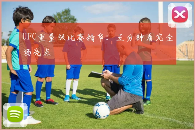 UFC重量级比赛精华:五分钟看完全场亮点