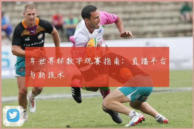 年世界杯数字观赛指南:直播平台与新技术