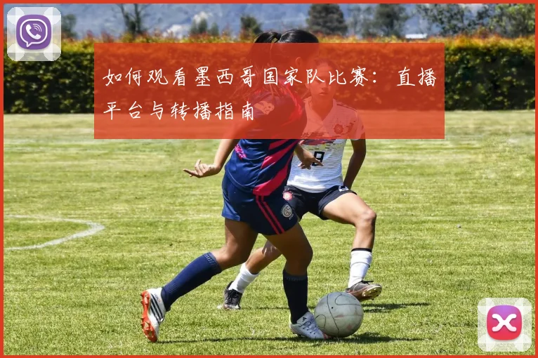 如何观看墨西哥国家队比赛:直播平台与转播指南