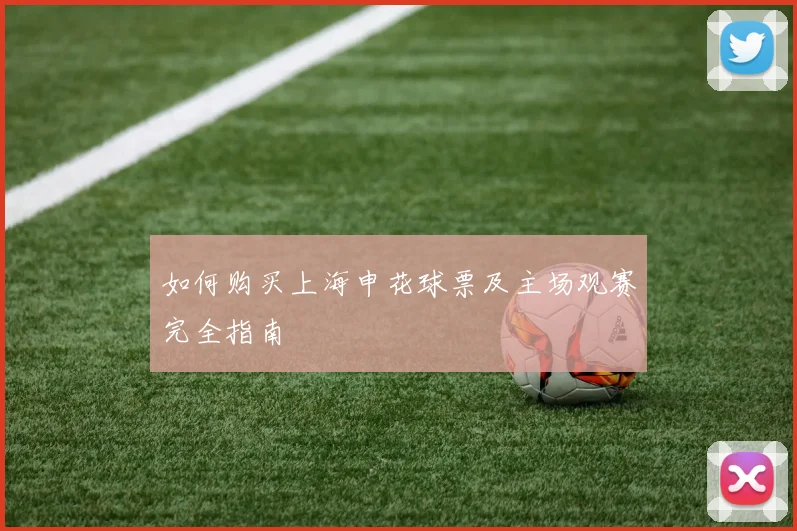 如何购买上海申花球票及主场观赛完全指南