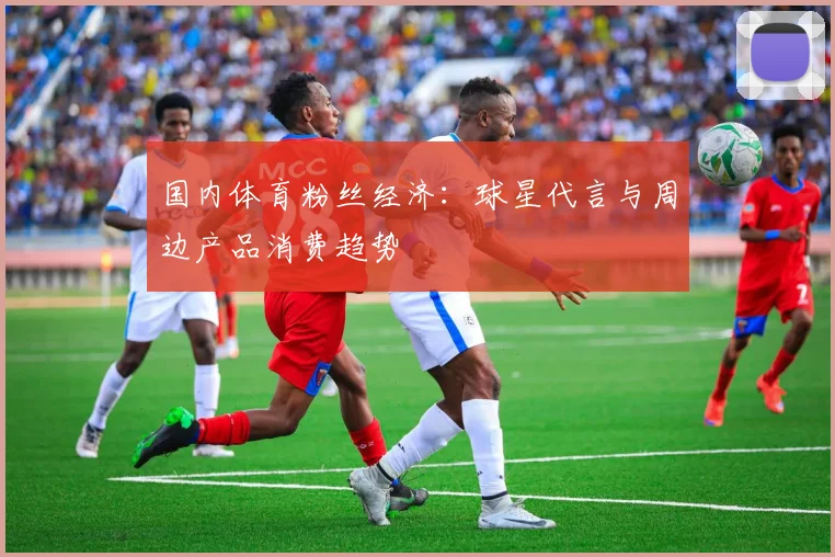国内体育粉丝经济：球星代言与周边产品消费趋势